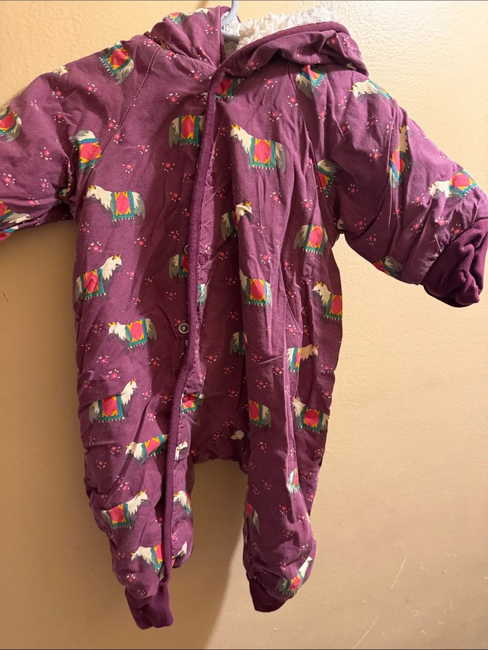Little Green Radicals Plum Hooded One-Piece with Colorful Horse Print